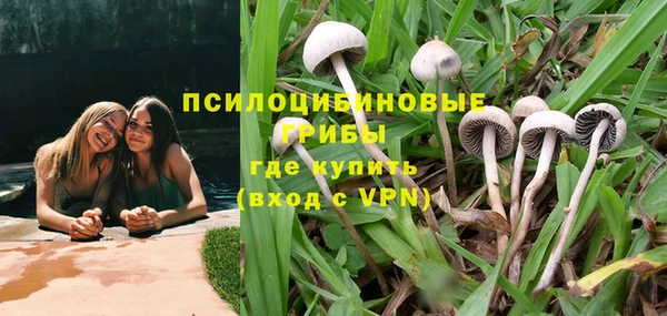 дмт Майский