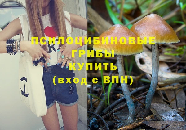 дмт Майский