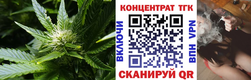 где найти Владимир ТГК THC oil