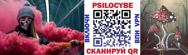дарнет шоп  Владимир  Галлюциногенные грибы Cubensis 