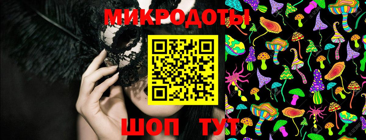 Галлюциногенные грибы Cubensis Владимир