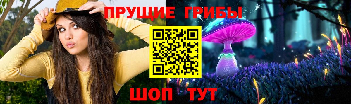 где можно купить   Вход с VPN  Владимир  Галлюциногенные грибы Psilocybe 